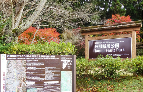 丹那断層記念公園／静岡県田方郡函南町／国指定天然記念物
