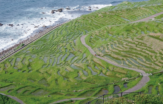 白米水田（世界農業遺産）