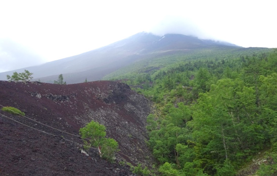 富士山北西山腹